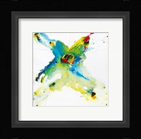 Flying Colours II Fine Art Print