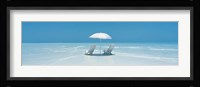 Siesta Fine Art Print