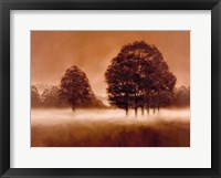 Misty Morning Fine Art Print