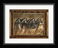 Zebras Fine Art Print