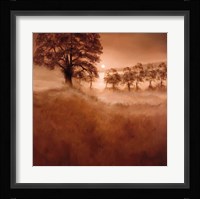 Misty Morning Fine Art Print