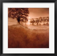 Misty Morning Fine Art Print