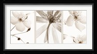 Sepia Floral Fine Art Print