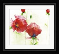 Red Poppies I Fine Art Print
