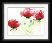 Red Poppies II Fine Art Print