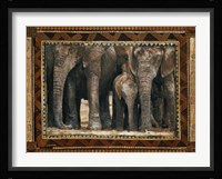 Elephants Fine Art Print