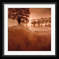 Misty Morning Fine Art Print