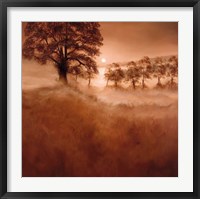 Misty Morning Fine Art Print