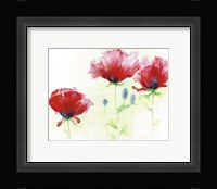 Red Poppies II Fine Art Print
