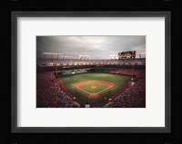 Dolphins Stadium, Miami Fine Art Print