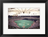 Metrodome, Minneapolis Fine Art Print