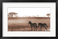 Crossing The African Plains Fine Art Print