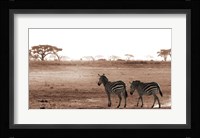 Crossing The African Plains Fine Art Print
