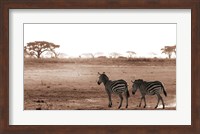 Crossing The African Plains Fine Art Print