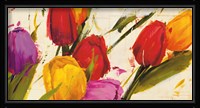 Tulips Fine Art Print