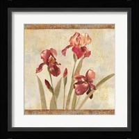 Iris Tapestry I Framed Print