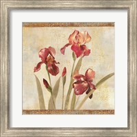 Iris Tapestry I Fine Art Print