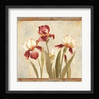 Iris Tapestry II Framed Print
