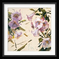 Petunia Fine Art Print