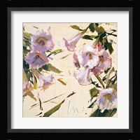 Petunia Fine Art Print
