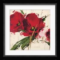 Fancy Tulips Fine Art Print