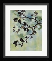 Evening Shadows II Framed Print