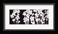White Flowers on Black I Fine Art Print