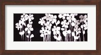 White Flowers on Black I Fine Art Print