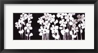 White Flowers on Black I Fine Art Print