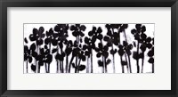 Black Flowers on White II Framed Print