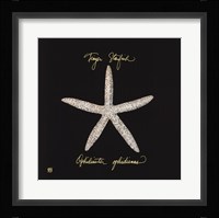 Striking Shells I Fine Art Print