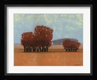 Clear Day II Framed Print