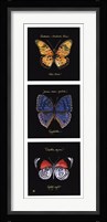 Primary Butterfly Panel II Fine Art Print
