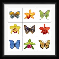Exotic 9-patch Fine Art Print