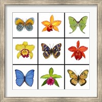 Exotic 9-patch Fine Art Print