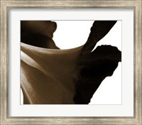 Reveal on White II Fine Art Print