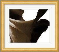 Reveal on White II Fine Art Print