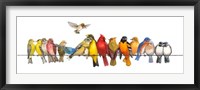 Large Bird Menagerie Fine Art Print