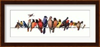 Large Bird Menagerie Fine Art Print