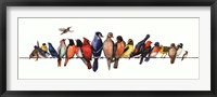 Large Bird Menagerie Fine Art Print