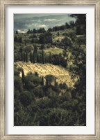 Tuscan Vineyard Fine Art Print