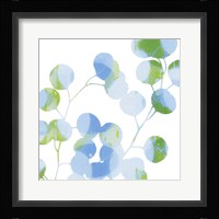 Blue Plums II Fine Art Print