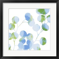 Blue Plums II Fine Art Print