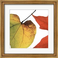 Inflorescent Leaves I Fine Art Print