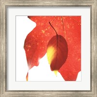 Inflorescent Leaves IV Fine Art Print