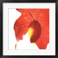 Inflorescent Leaves IV Fine Art Print