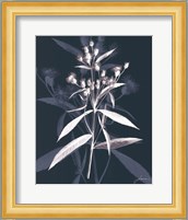 Jewel Stems I Fine Art Print