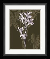 Jewel Stems II Fine Art Print