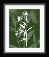 Jewel Stems III Fine Art Print