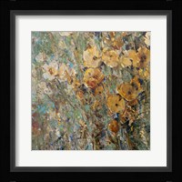 Amber Poppy Field I Framed Print